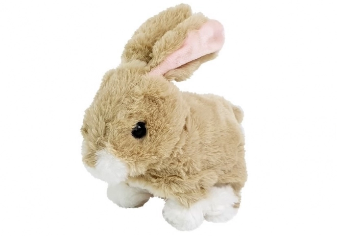 Interactive Cream Bunny Toy with Sound and Ear Movement