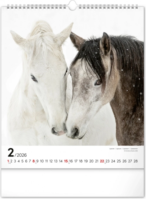 Vægkalender Heste 2026