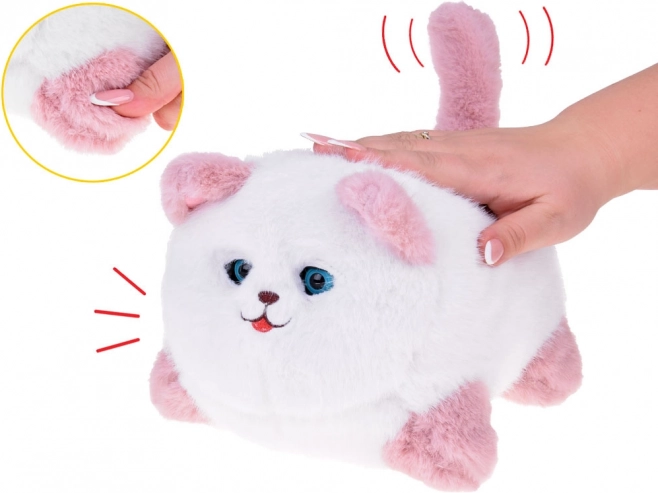 Interactive Cat Pusia