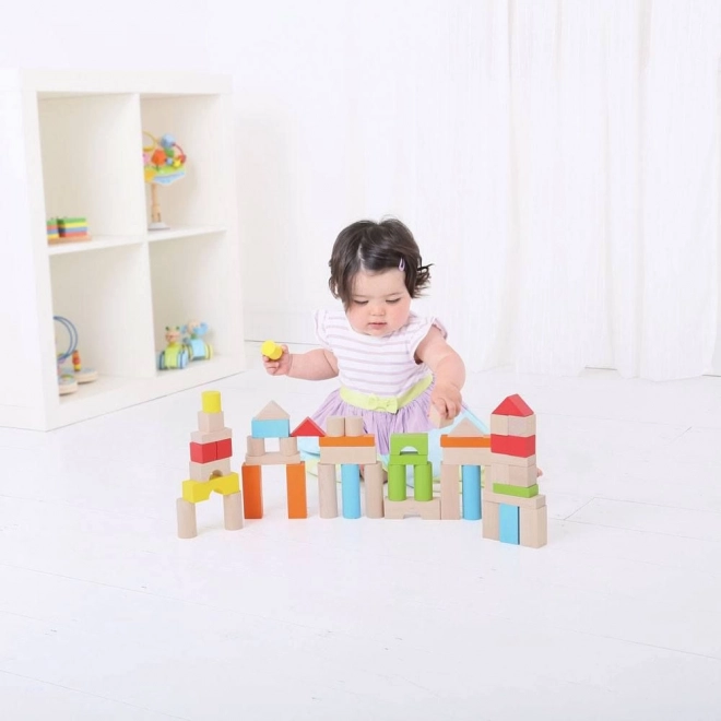 Bigjigs Baby Colorful Building Blocks Set