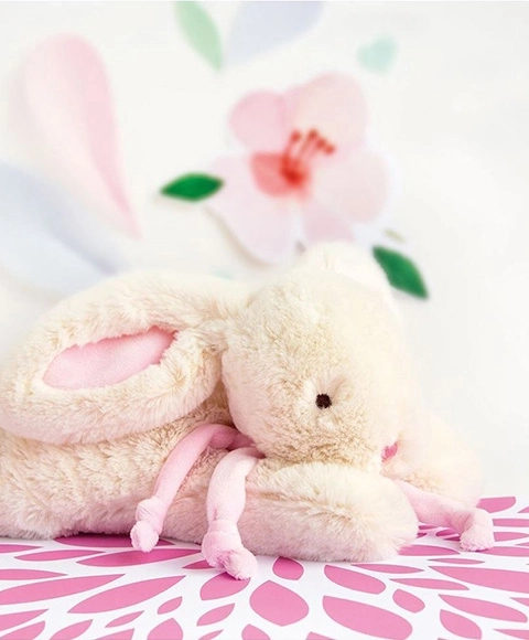 Plush Pink Rabbit Gift Set