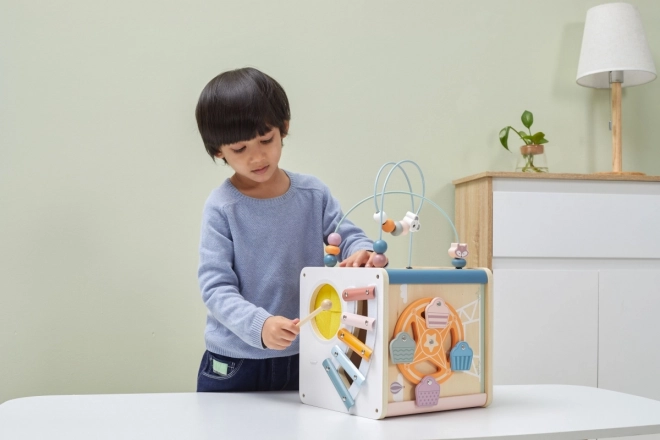 8-in-1 Wooden Activity Cube