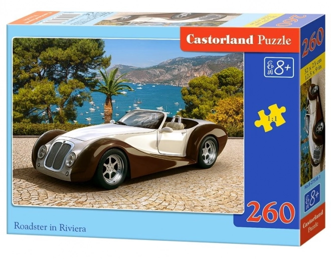 Colorful Children's Puzzle: Roadster in Riviera