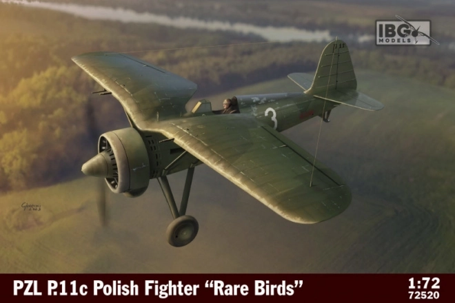 Plastic Model PZL P.11c Polish Fighter Rare Birds 1/72