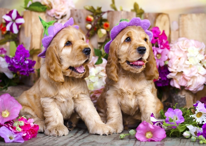 Enjoy Puzzle Cocker Spaniel Puppies with Floral Hats 1000 Pieces