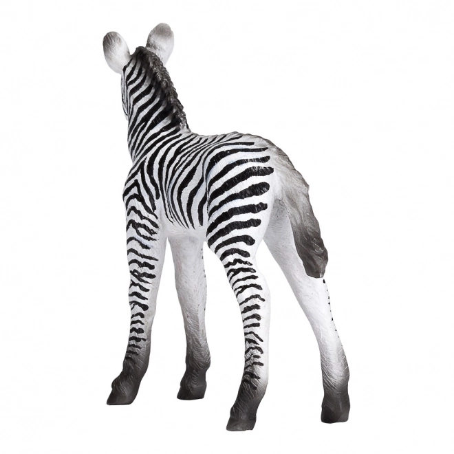 Mojo Zebra Foal