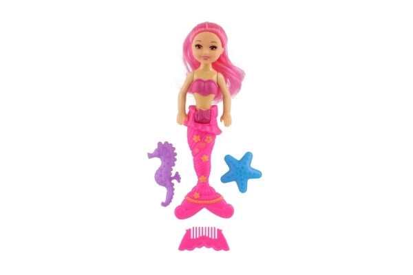 Mermaid Doll with Accessories