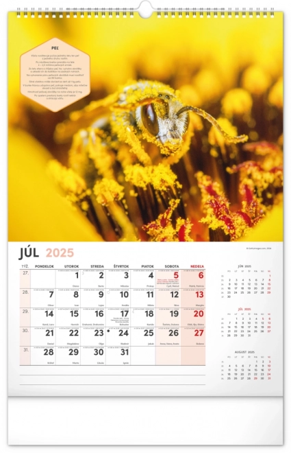 Wall Beekeeper Calendar 2025