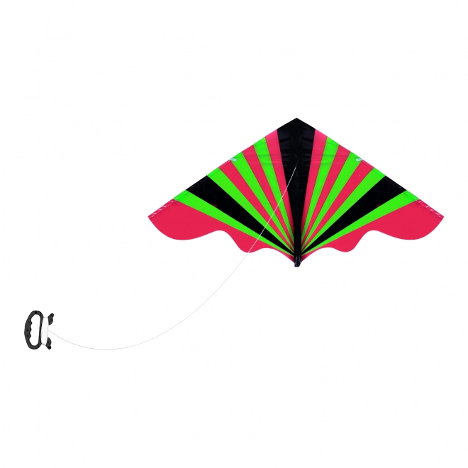 Colorful Flying Kite