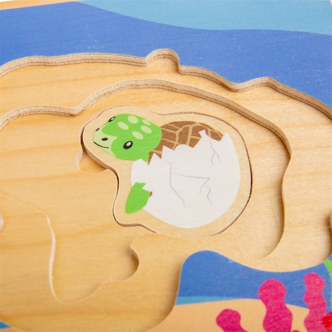 Wooden Turtle Life Cycle Puzzle