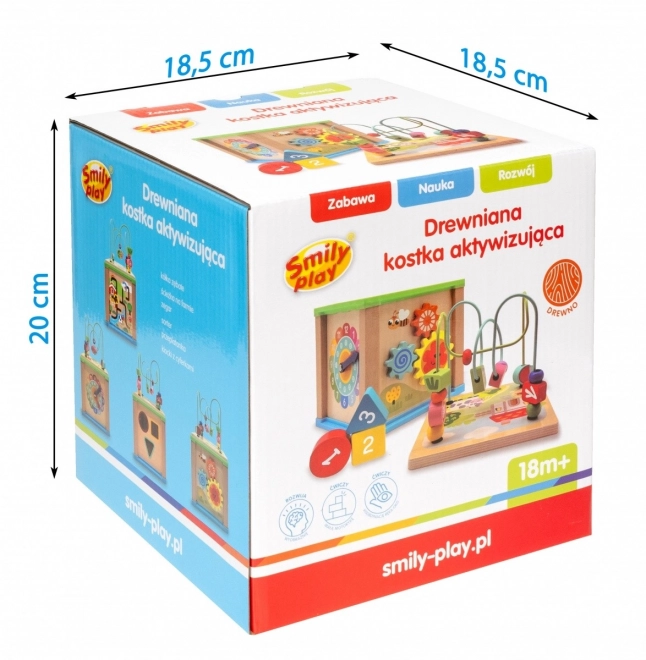 Wooden Activity Cube