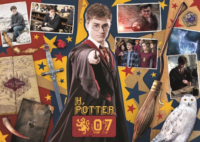 Trefl Puzzle Harry Potter: Ron, Hermione and Harry Set