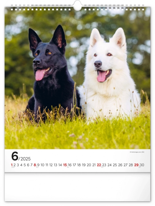 Notique Wall Calendar Dogs 2025