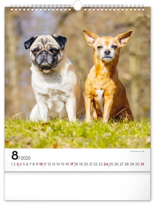 Notique Wall Calendar Dogs 2025