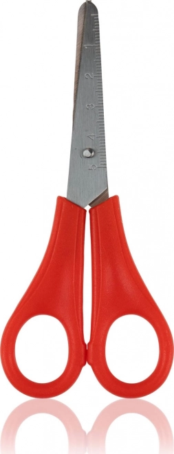 Astra Scissors for Right-Handed Users