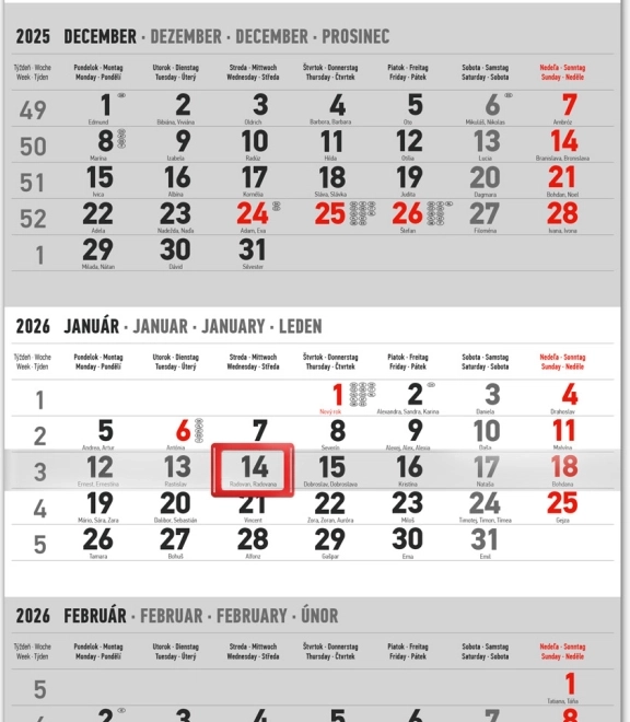 Notique grijze wandkalender met Slowaakse namen 2026