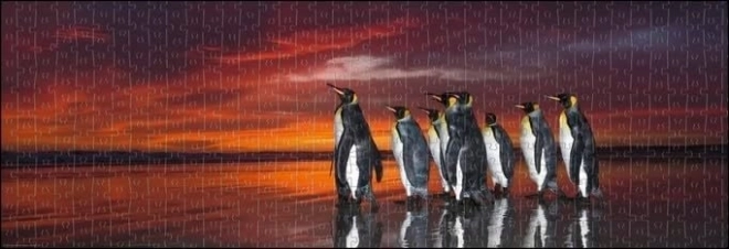 Penguin King 1000 Piece Puzzle