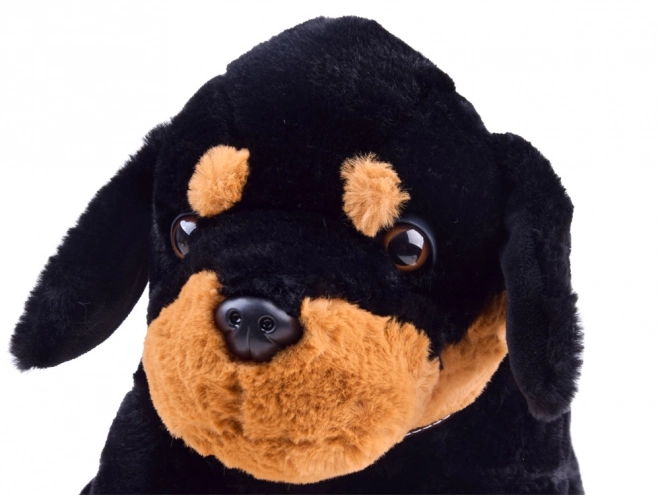 Plush Puppy Soft Toy