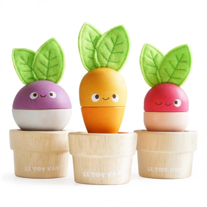 Le Toy Van vegetable garden set