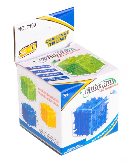 3D Puzzle Maze Skill Game