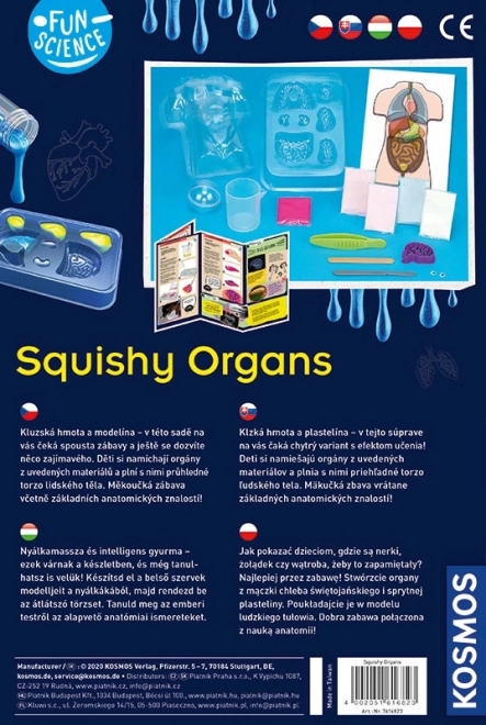 Fun Science Squishy Organs Educational Set