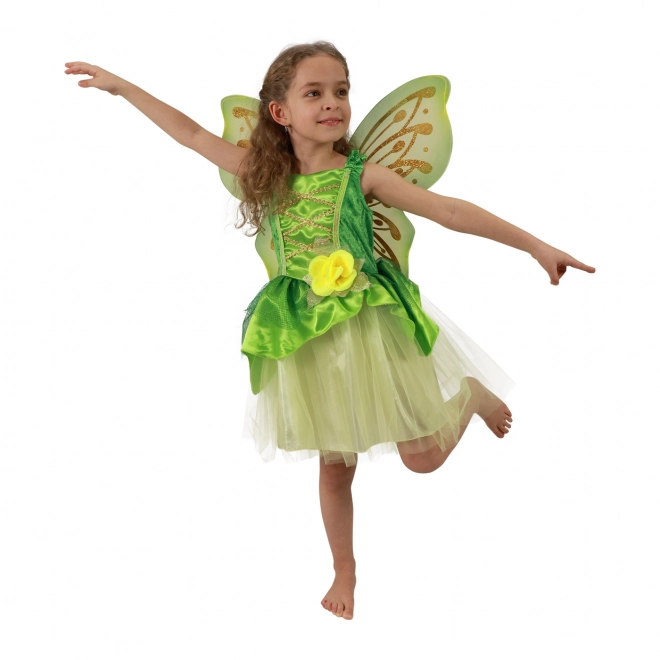 Fairy Costume with Wings