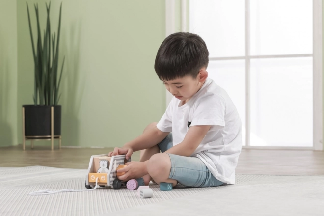 Wooden Pull Along and Shape Sorter Truck