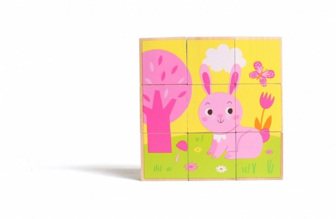 Animal Wooden Blocks