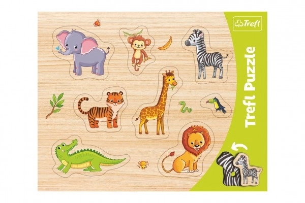 Safari Animal Shape Sorter