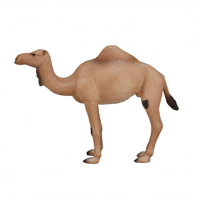 Realistic Dromedary Camel Figure