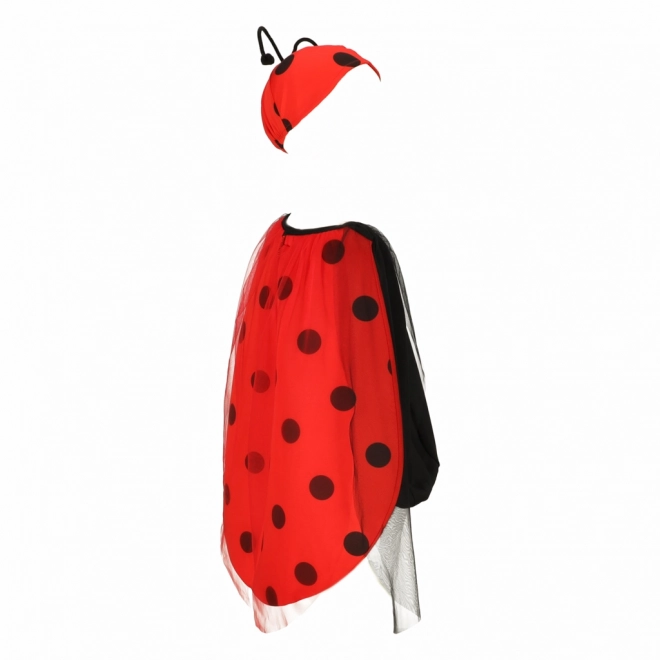 Children's Ladybug Costume
