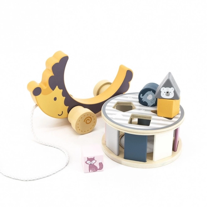 Hedgehog Pull Toy with Shape Sorter