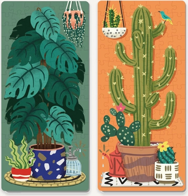 Ridley's Games Puzzle Duel Houseplants: Cacti vs Tropical