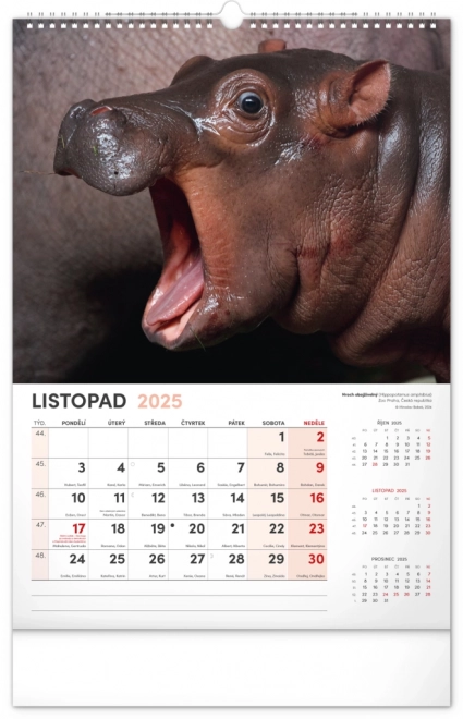 Notique Wall Calendar Most Interesting Animals 2025