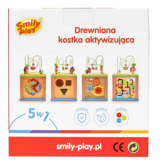 Wooden Activity Cube