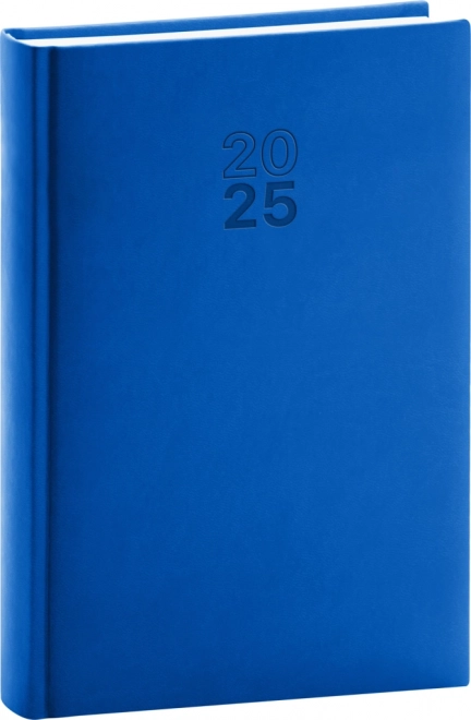 Notique Daily Diary Aprint 2025 Blue