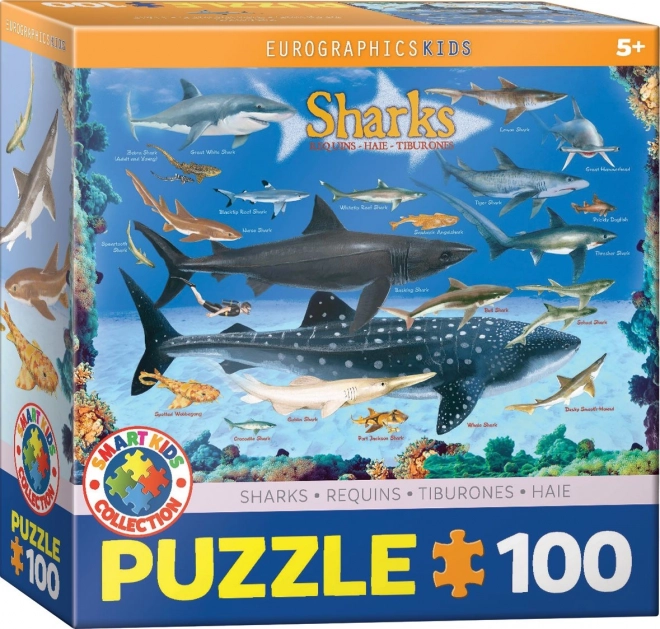 Eurographics Puzzle Sharks 100 Pieces