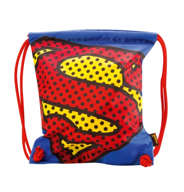 Superman Shoe Bag