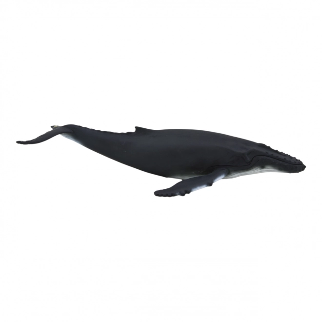 Realistic Humpback Whale Figurine