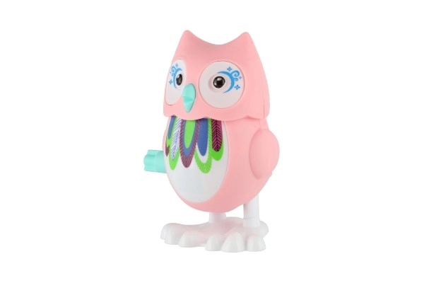 Colorful Wind-Up Owl Toy