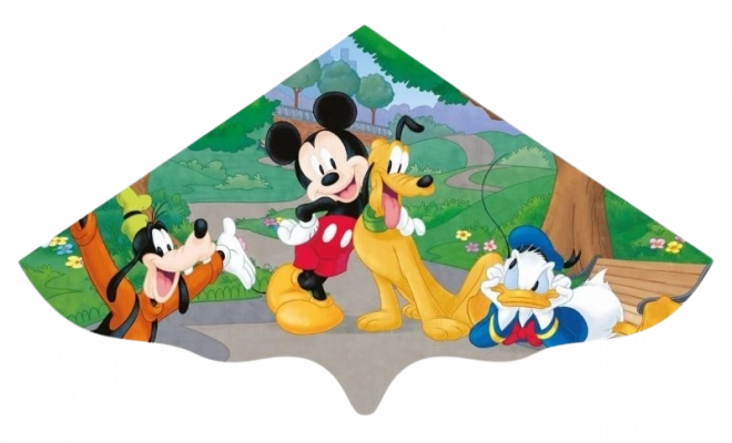 Outdoor Mickey Kite