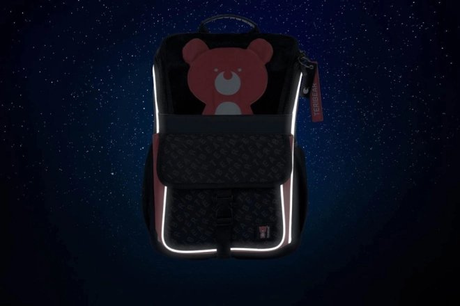 School Backpack Zippy Teribear