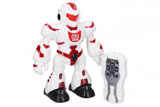 Remote Control RC Robot Toy