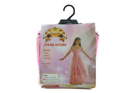 Sleeping Beauty Princess Dress