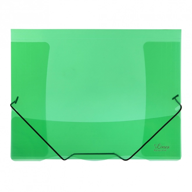 Transparent Elastic Folder Lines Green