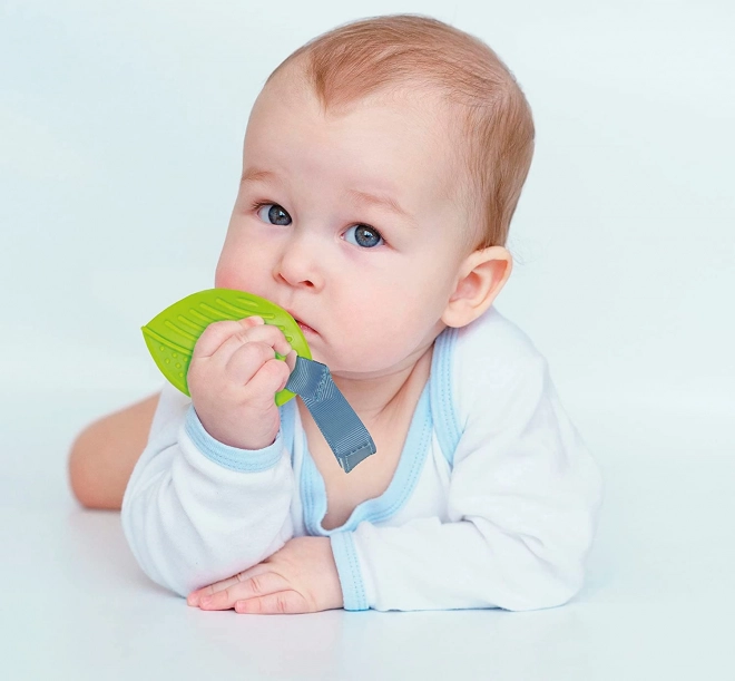 Baby Play Mat with Gym My First Discoveries