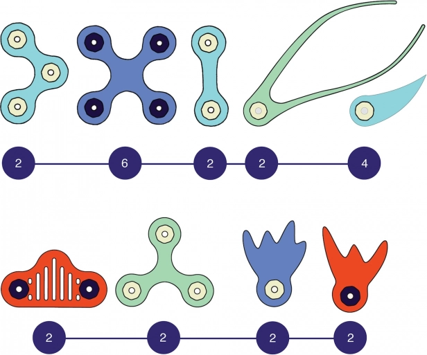 Clixo Ocean Creatures Magnetic Building Set