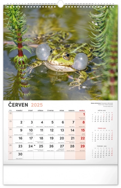 Notique Wall Calendar Most Interesting Animals 2025