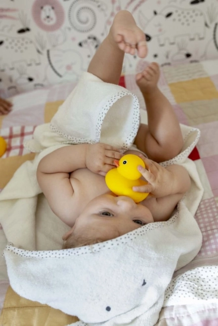 Duck Family Bath Toys