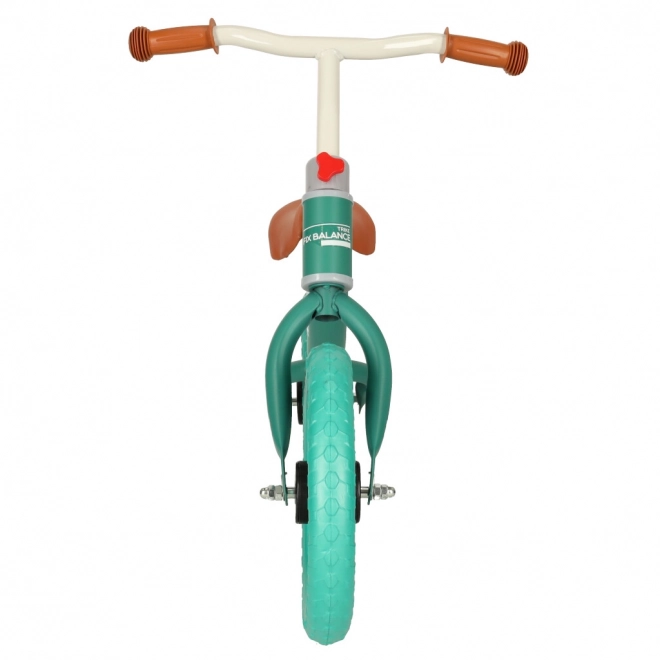 Lightweight Turquoise Balance Bike